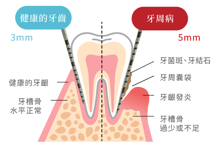 深圳維港口腔連鎖