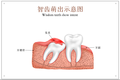 深圳維港口腔