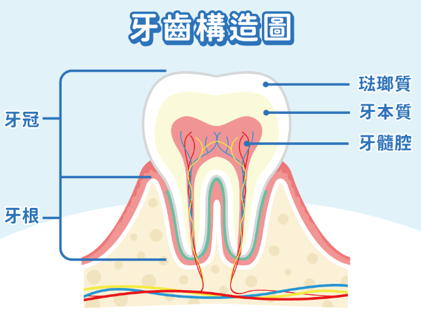 深圳維港口腔連鎖