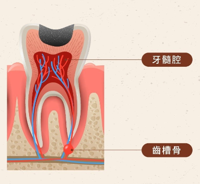 深圳維港口腔連鎖