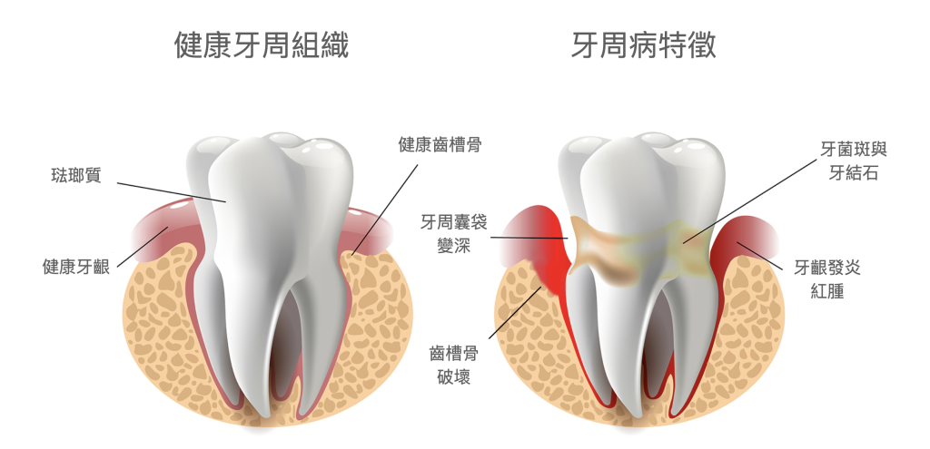 深圳維港口腔