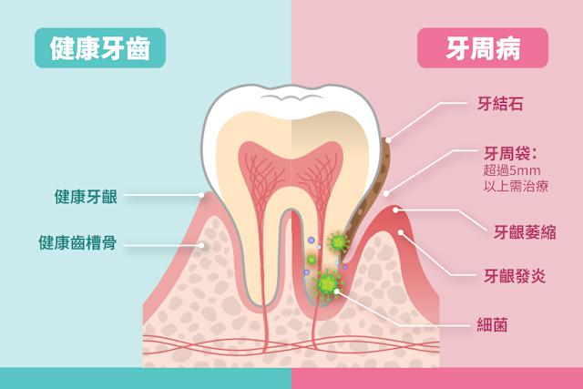 深圳維港口腔 深圳維港口腔